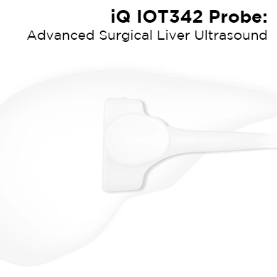 iQ IOT342 Probe