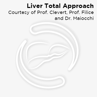 Liver Total Approach