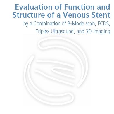 Evaluation of Function and Structure of a Venous Stent
