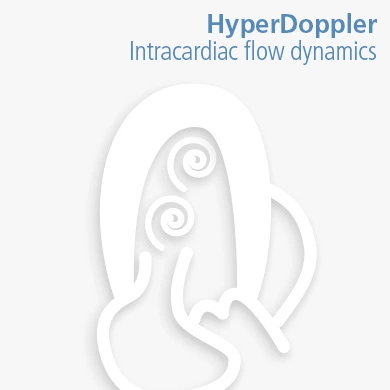 HyperDoppler Intracardiac flow dynamics