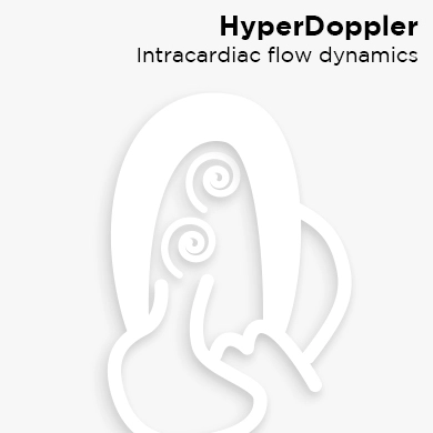 HyperDoppler Intracardiac flow dynamics