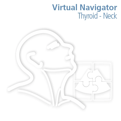 Virtual Navigator - Thyroid - Neck
