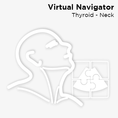 Virtual Navigator - Thyroid - Neck