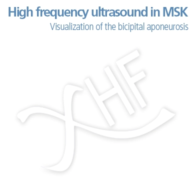 High Frequency Ultrasound in MSK