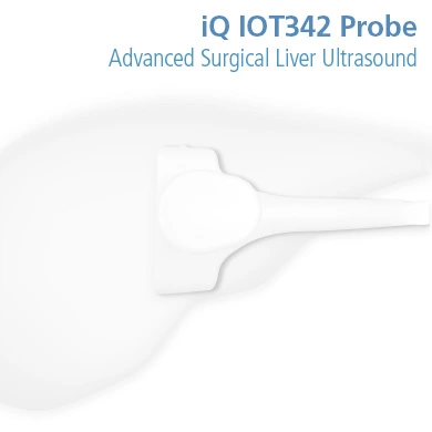 iQ IOT342 Probe