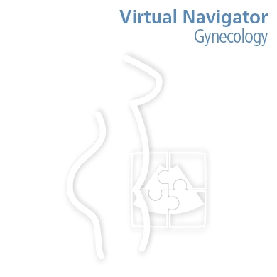 Virtual Navigator - Gynecology