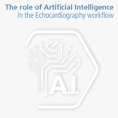 The role of Artificial Intelligence in the Echocardiography workflow