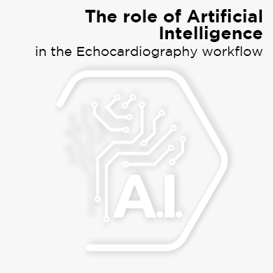 The role of Artificial Intelligence in the Echocardiography workflow